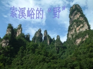 小学语文《索溪峪的野》