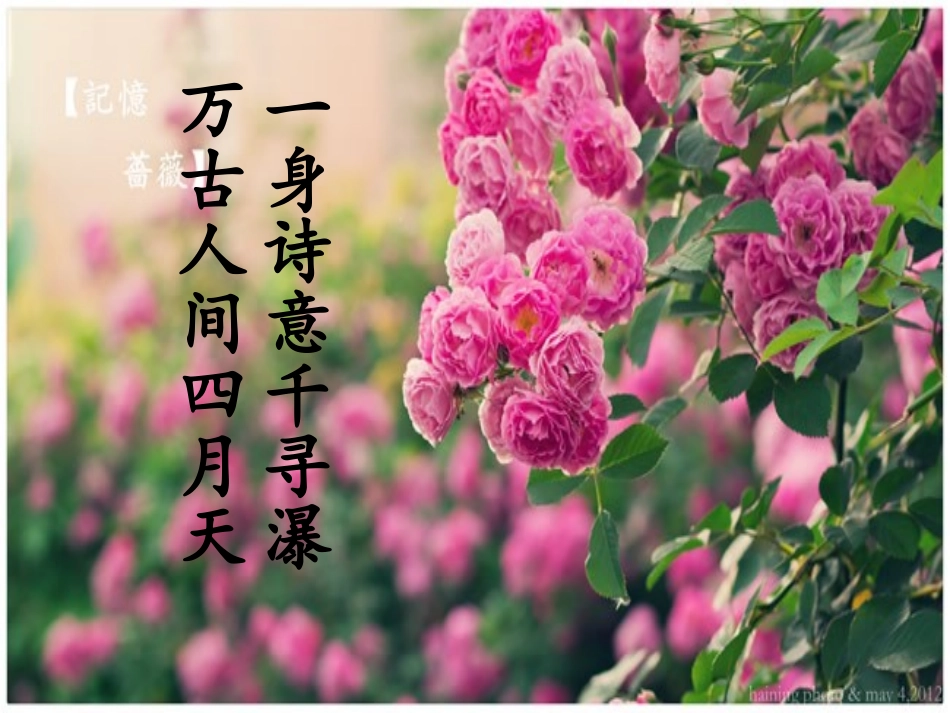 《金岳霖先生》公开课_第1页