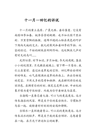 十一月—回忆的诉说