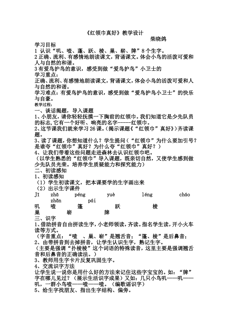 红领巾真好教案_第1页