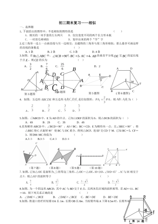 初三期末复习相似