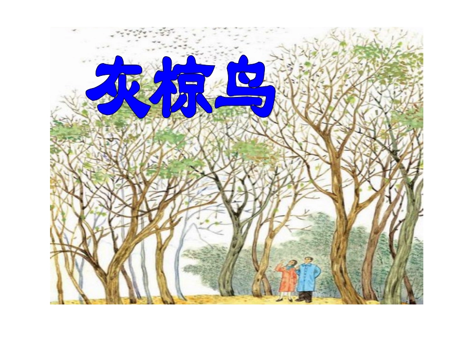 《灰椋鸟》PPT课件(毛)_第3页