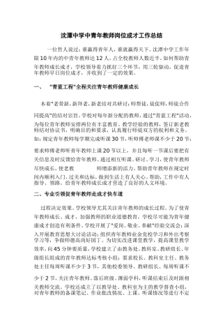 沈潭中学中青年教师岗位成才工作总结