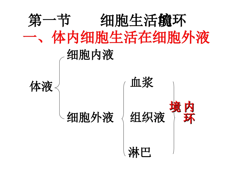 人体的内环境与稳态课件(复习)_第2页