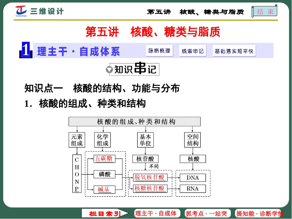 第五讲核酸、糖类与脂质_第1页