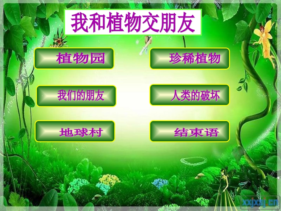 大班社会活动《植物，我们的朋友》_第2页