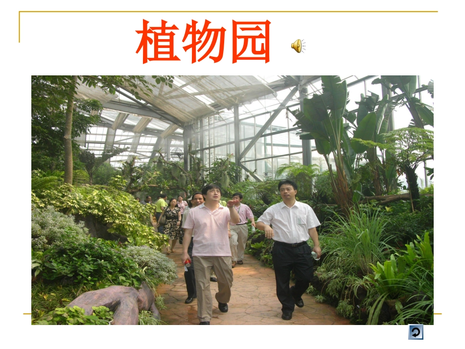 大班社会活动《植物，我们的朋友》_第3页