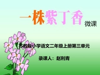 一株紫丁香》微课