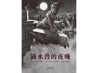 滴水兽的夜晚