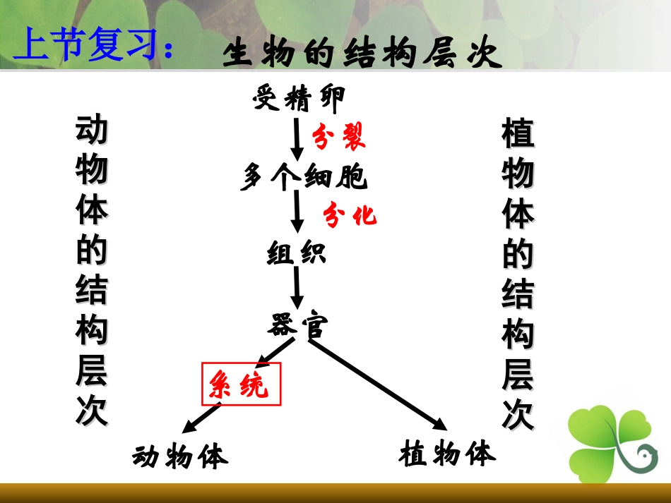 第四节单细胞生物_第1页