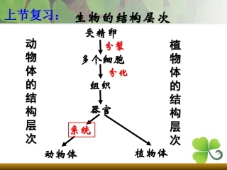 第四节单细胞生物