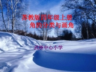 苏教版四上《角的分类与画角》课件