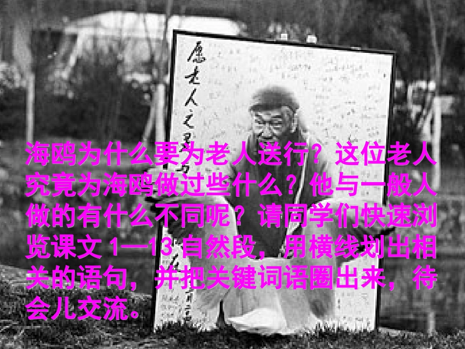 六年级语文上册课件老人与海鸥精华课件_第2页