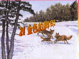 金色的脚印修改后