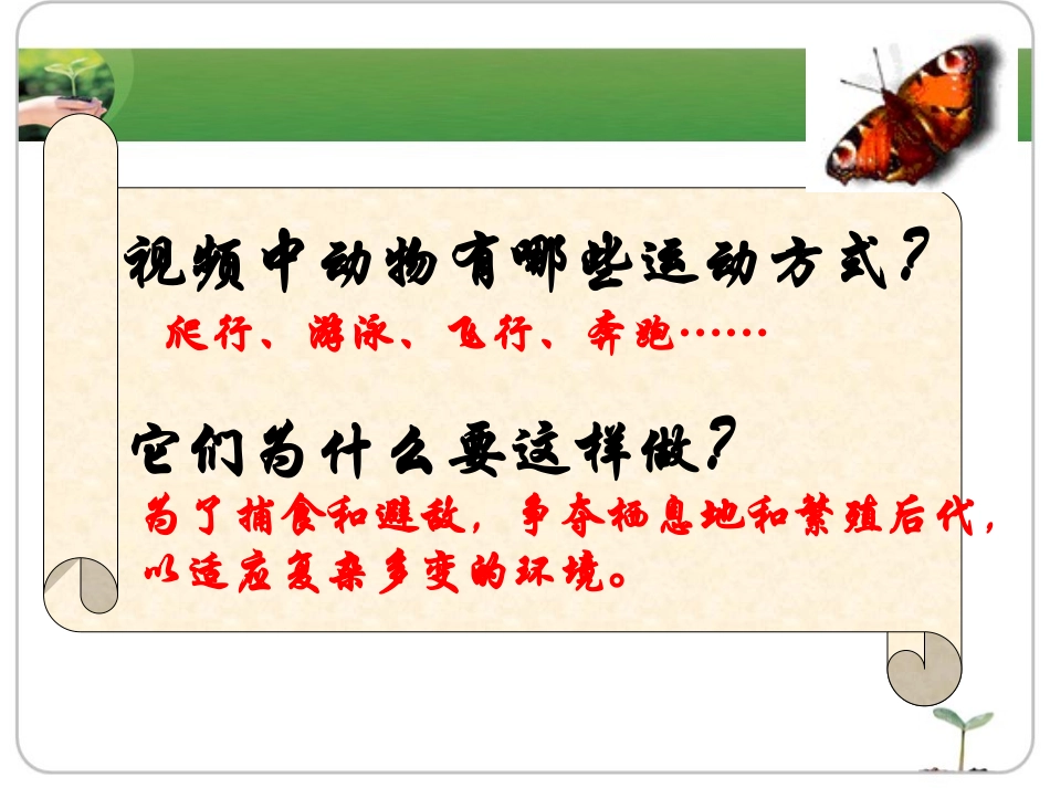 《动物的运动》课件_第2页