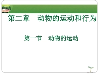 《动物的运动》课件