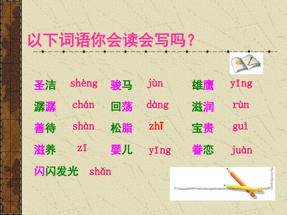 《这片土地是神圣的》_第3页
