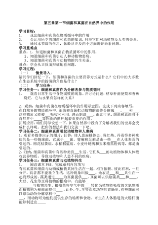 细菌和真菌作用教案