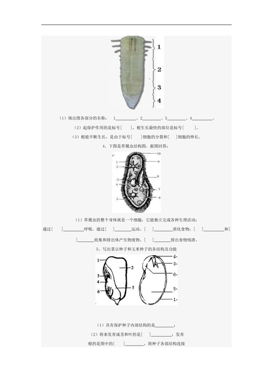 初中生物填图复习_第2页
