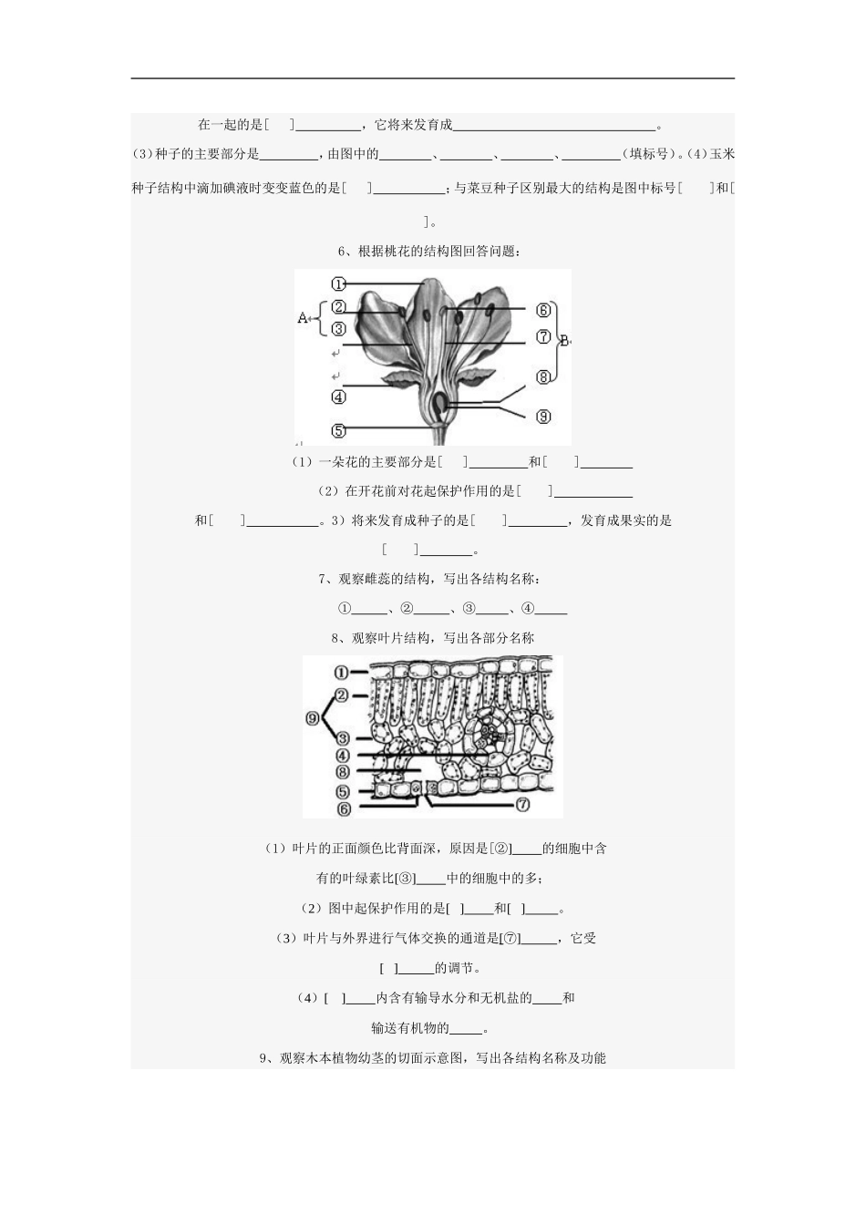 初中生物填图复习_第3页