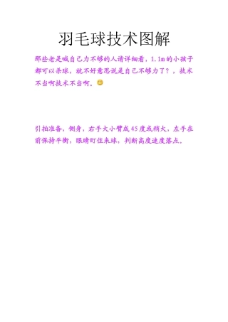 羽毛球技术图解