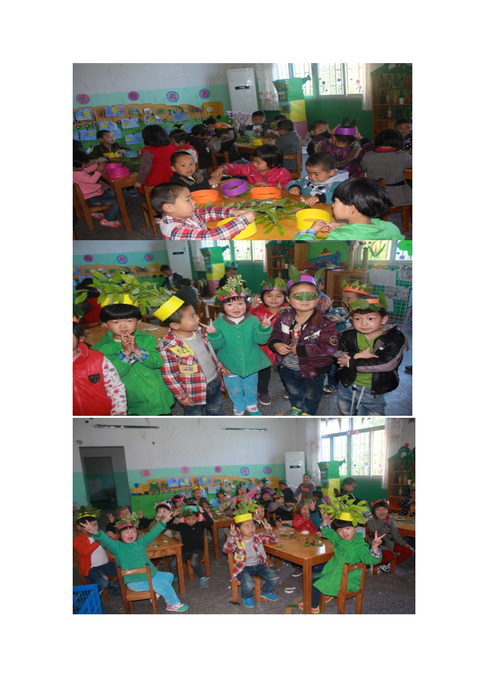 自然资源手工实践活动树叶_第1页