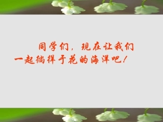送你一束转基因花