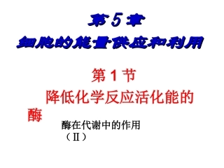 高考生物第一轮复习-酶