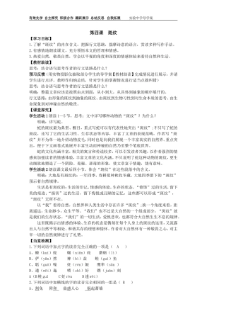 第四课斑纹教师