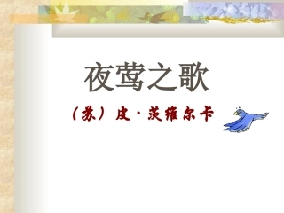 《夜莺之歌》课件