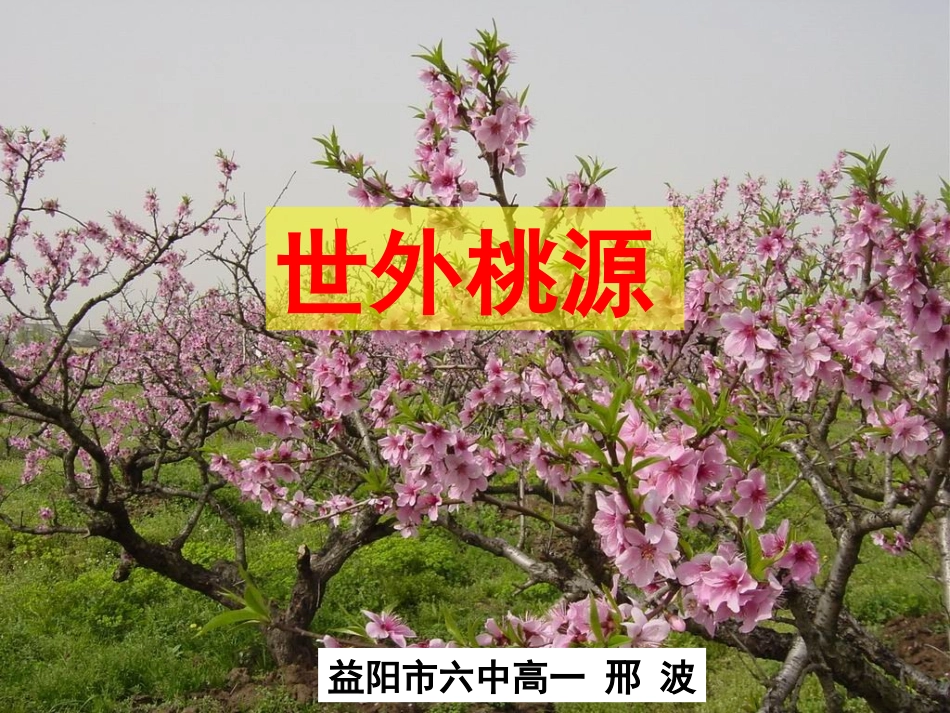 归园田居（其一）_第1页