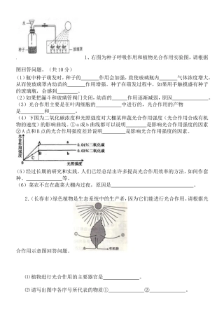 光合作用实验