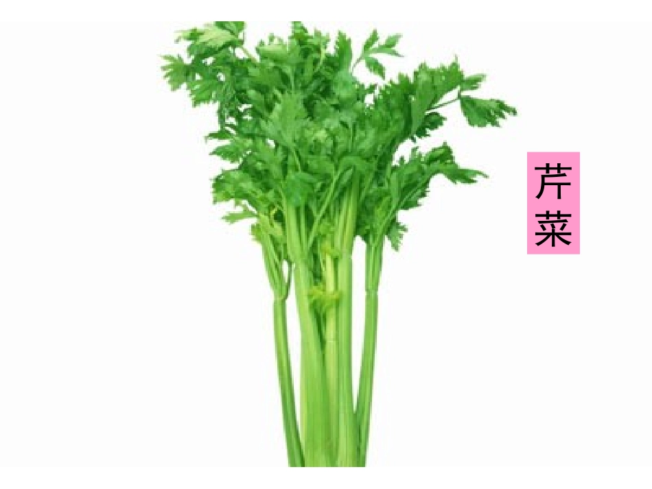 中班上学期健康《好吃的蔬菜》_第2页