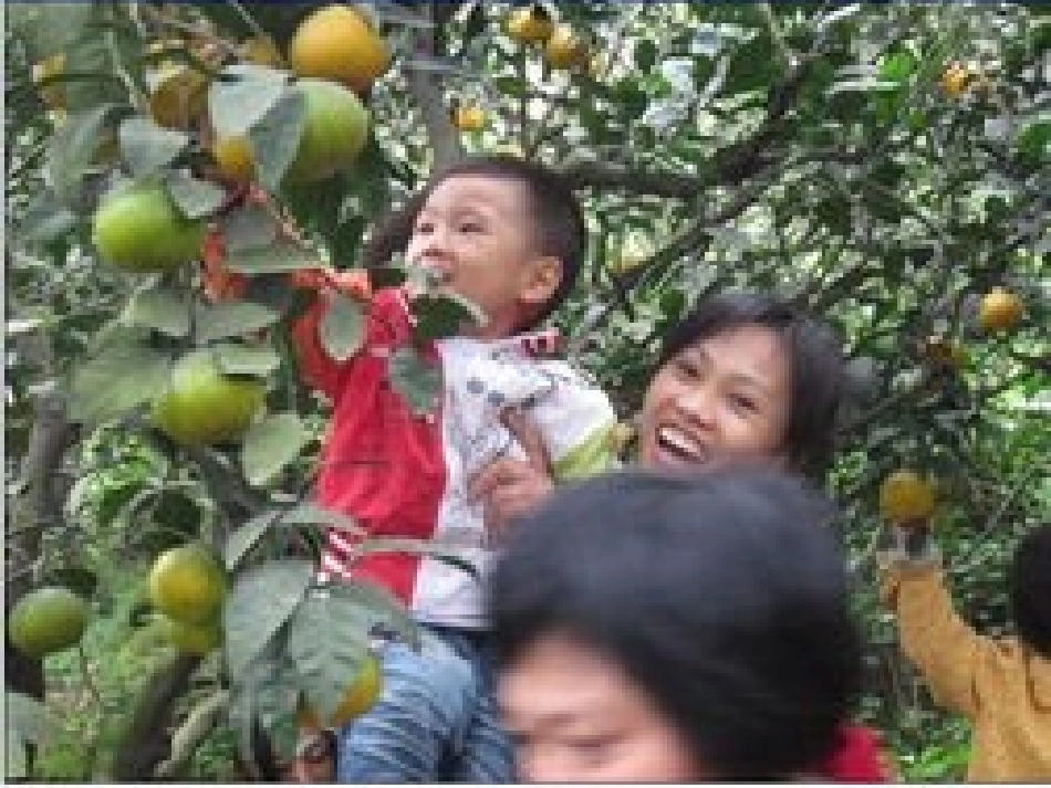 人教版小学语文三年级上册语文园地三口语交际教学课件_第3页