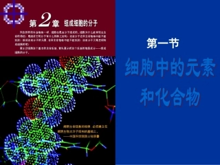 高中生物必修一第二章第一节_细胞中的元素和化合物