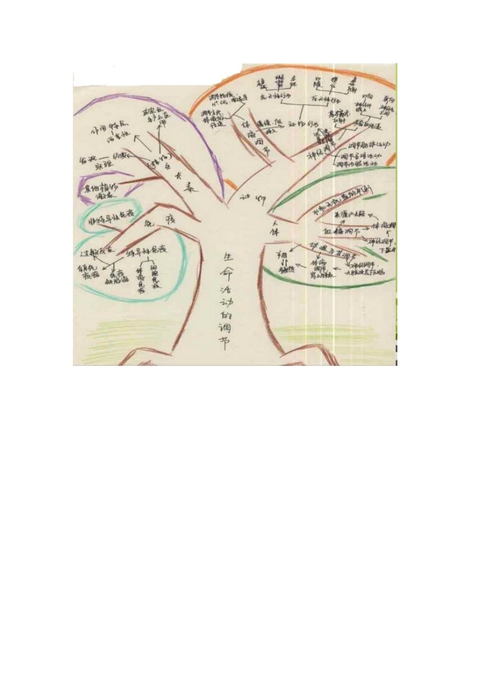 生命活动的调节知识树_第1页
