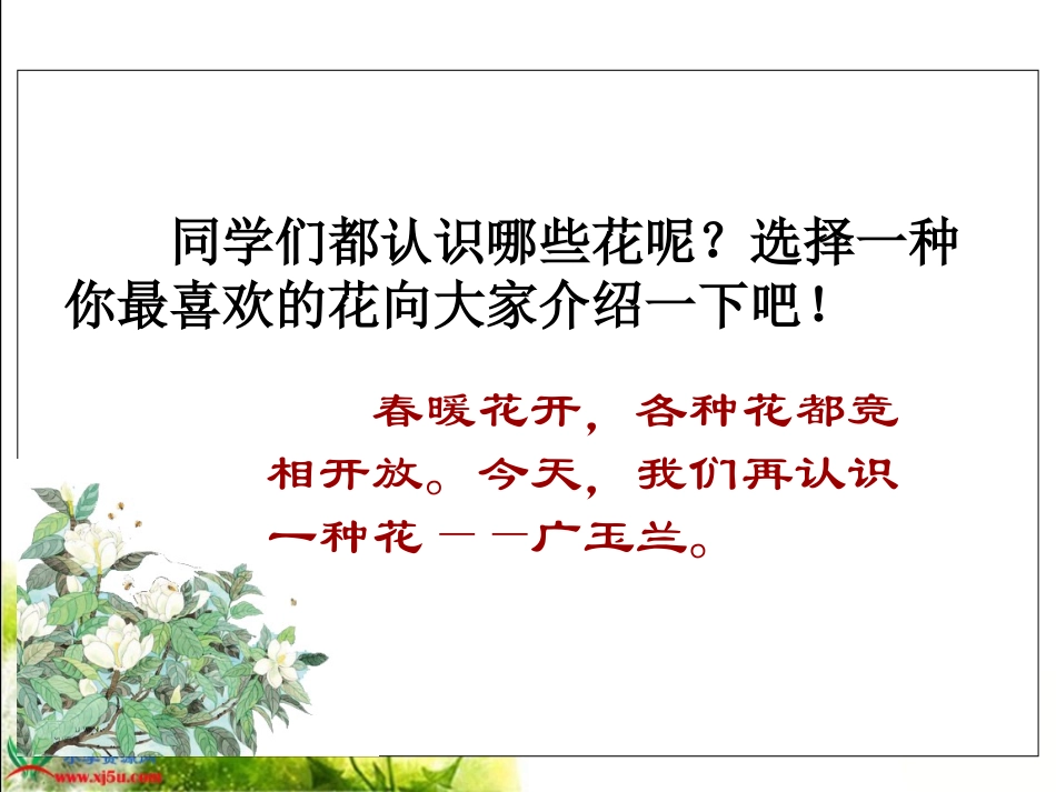《广玉兰》PPT课件(苏教版六年级语文下册课件)_第2页