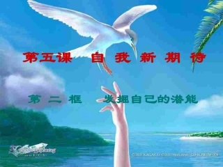 七年级政治上册第五课自我新期待第二框《发掘自己的潜能》课件