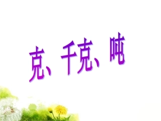 《克、千克、吨》课件