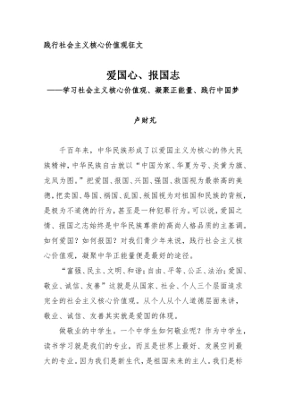 爱国心、报国志
