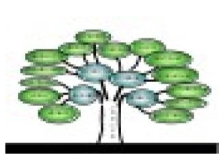 五年级品德与社会上知识树