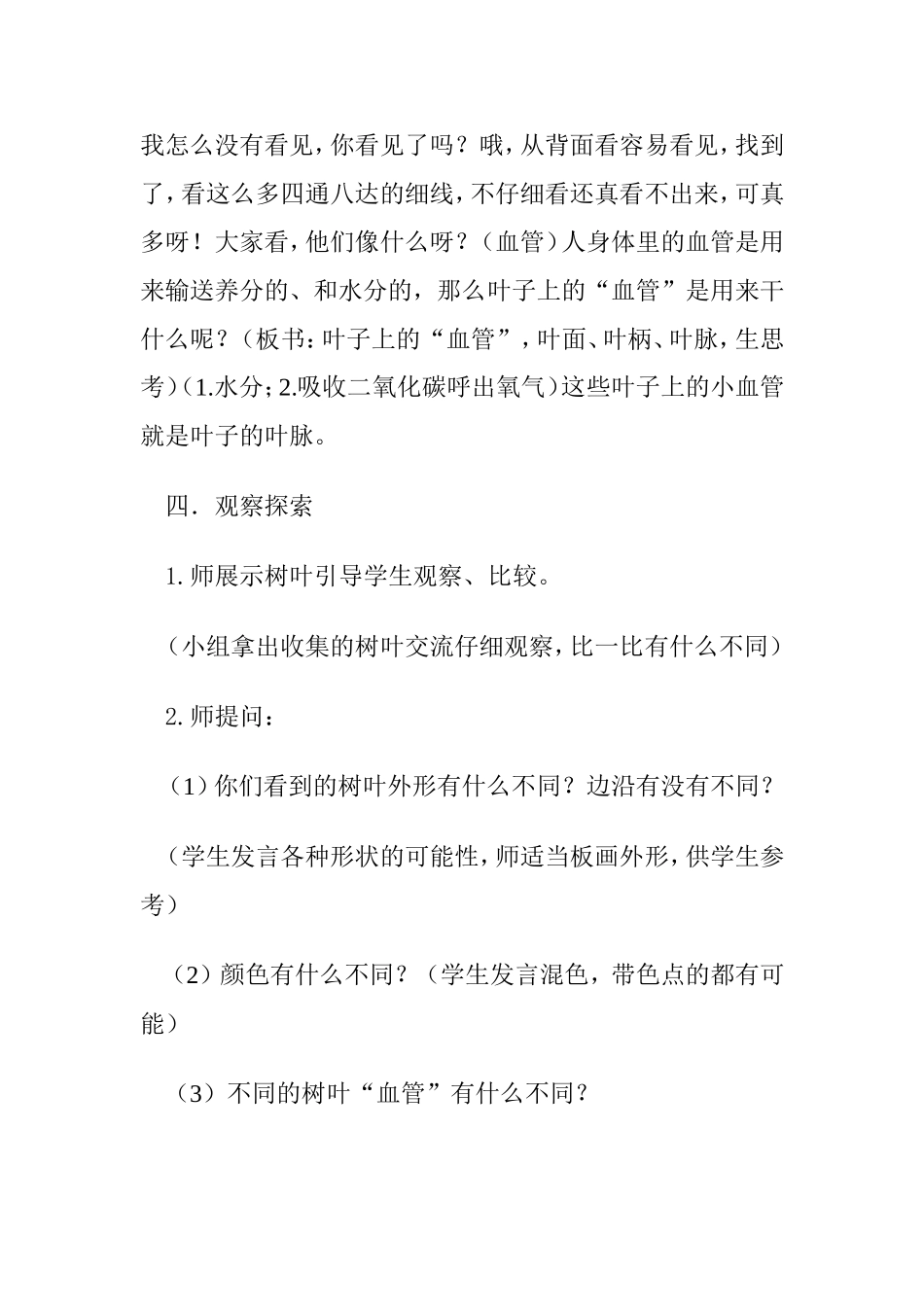 叶子上的小血管_第3页