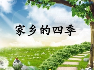 家乡的四季作文