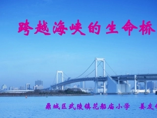 《跨越海峡的生命桥》