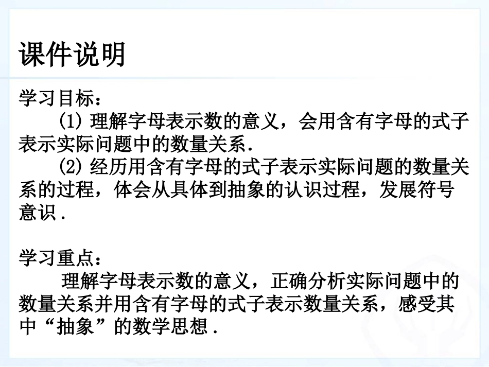 人教版七年级数学上册整式_第3页