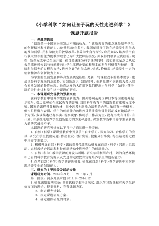 玩的天性开题报告