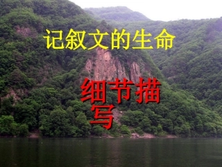 记叙文的细节描写