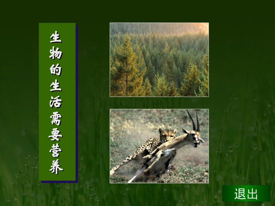 生物的特征朱武光_第3页