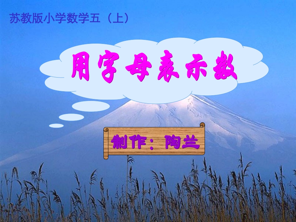 用字母表示数-陶兰_第1页