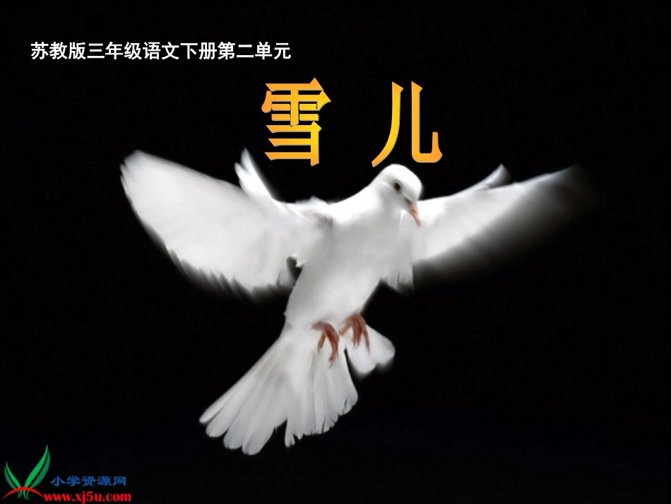 三年级下册《雪儿》公开课课件_第1页